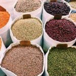 01_Categoria leguminosas 01_Categoria leguminosas